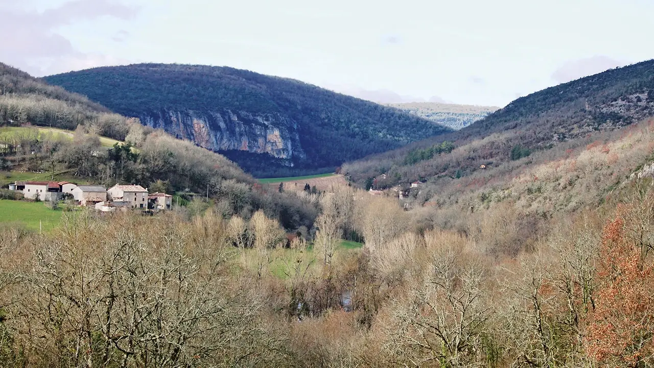 Traque occitane : Penne et les sangliers de Grésigne