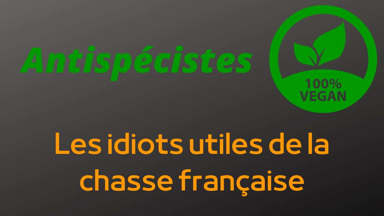 Antispécistes végans : les idiots utiles de la chasse française
