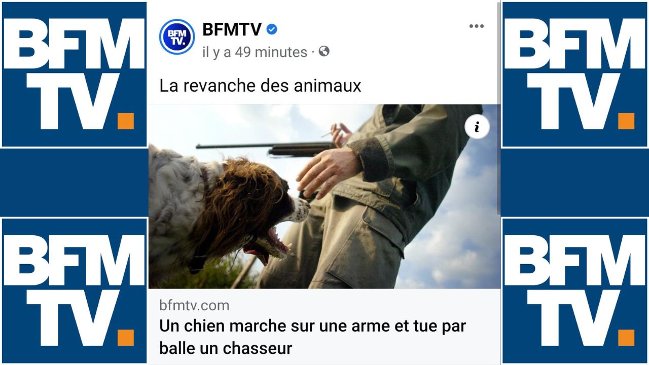 BFMTV se lâche sur les chasseurs