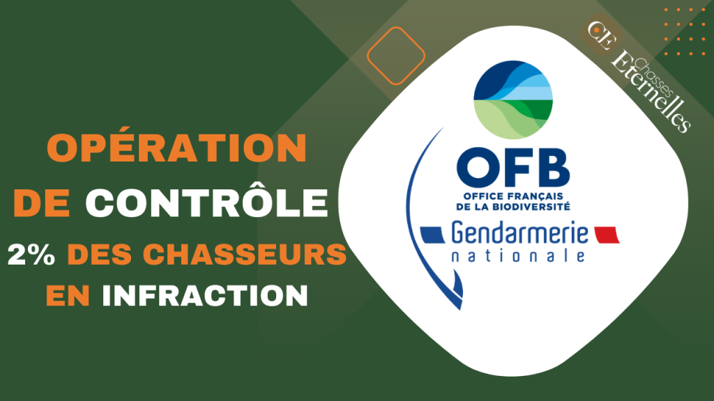 Opération OFB - Gendarmerie - 2% des chasseurs en infraction - Chasses ...