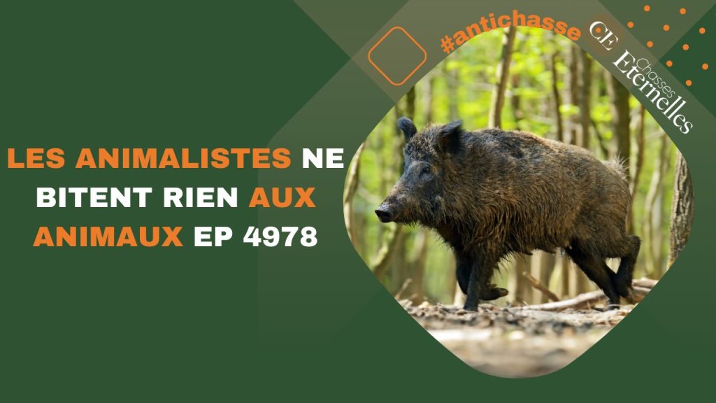 Les animalistes ne bitent rien aux animaux EP 4978 - Chasses éternelles