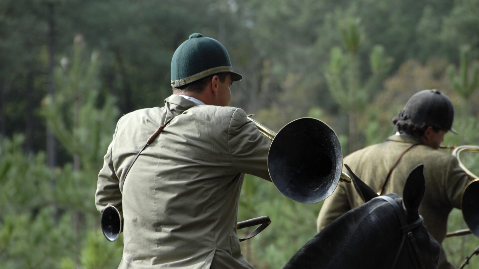Rênes De Chasse Fonctionnelles Pour Cheval – Spectacle Et Travail – Occasion UK